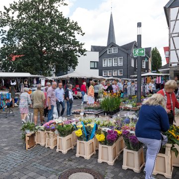 Markt und Mehr