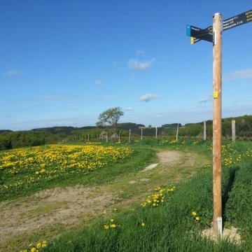 Grenzenlos Wegweiser