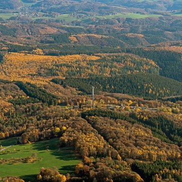 Klare Perspektiven für den Wald: Einladung zum Bergischen Waldforum 2026