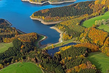 Im Rahmen des Projektes sollen der Wald rund um die Trinkwassertalsperren klimaresilient gestaltet werden, um die Qualität des Trinkwasser im Bergischen RheinLand langfristig zu schützen. Fotonachweis: REGIONALE 2025 Agentur