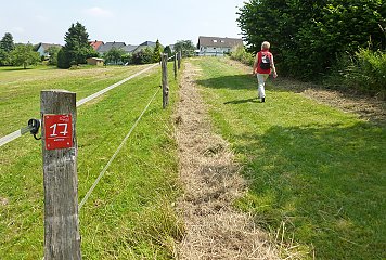 Der südöstliche Teil des Bergischen RheinLandes hat eine Tradition als Erholungsraum. Im Rahmen des Projektes soll unter anderem Gesundheitstourismus ausgebaut und durch Besucherlenkung eine Balance zwischen Landschaftsschutz und Nutzung hergestellt werden. Fotonachweis: Maren Pussak/Das Bergische