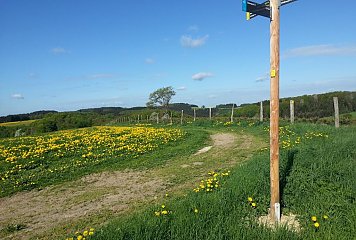 Im Rahmen des Projektes soll ein digitales und nachhaltiges Infrastrukturmanagementsystem aufgebaut werden, um die Pflege, Wartung und Entwicklung bestehender Infrastrukturen, wie beispielweise von Wegweisern, zu erleichtern. Das Vorhaben ist ein Gemeinschaftsprojekt im Rahmen der REGIONALEN Bergisches RheinLand und Südwestfalen Fotonachweis: Naturpark Bergisches Land/Wastl Roth-Seefried