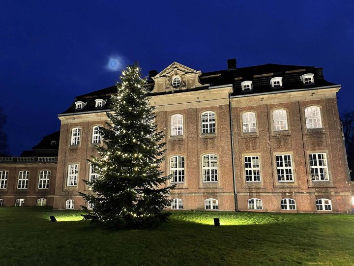 Zanders Weihnachtsbaum