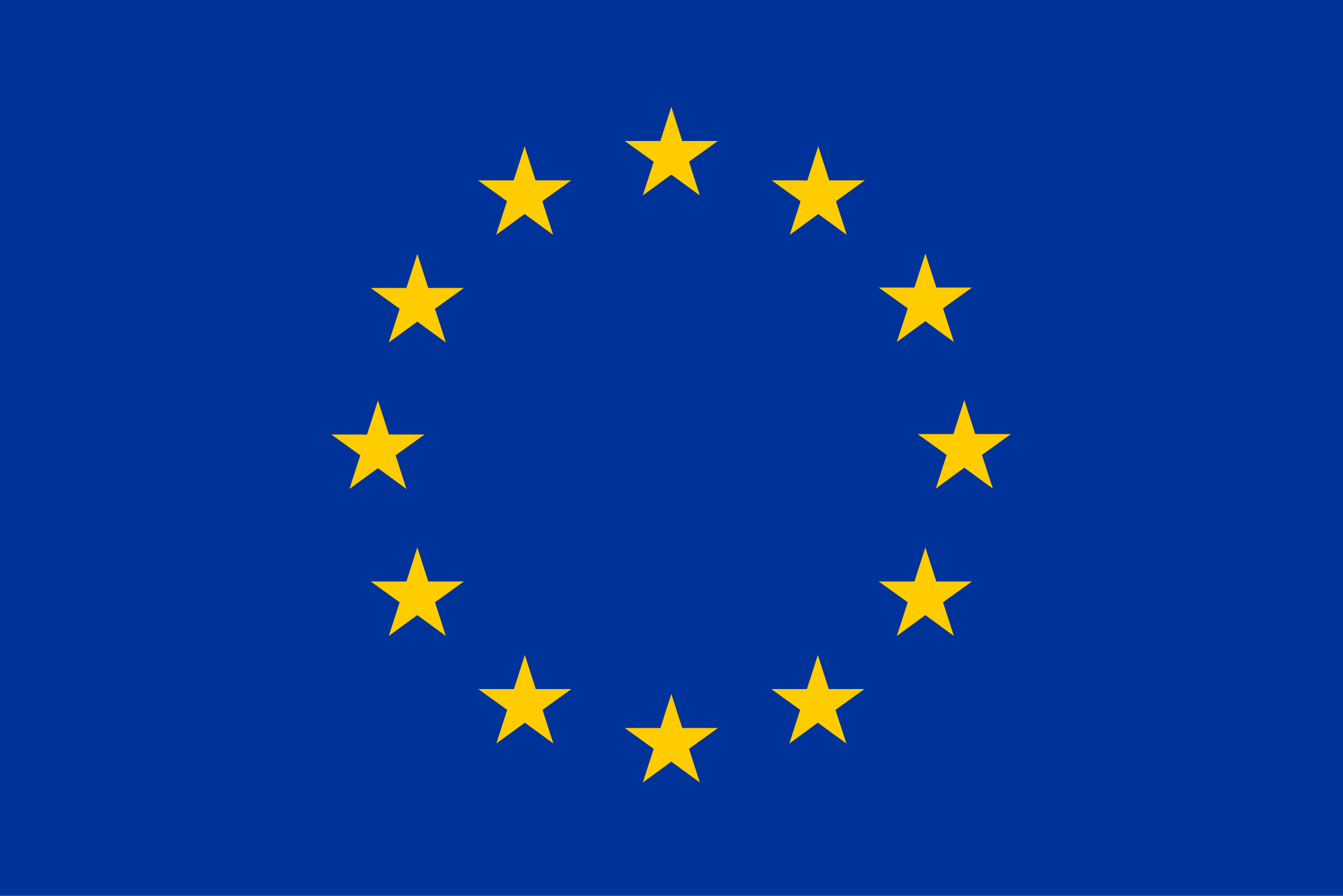 EU Logo Flagge