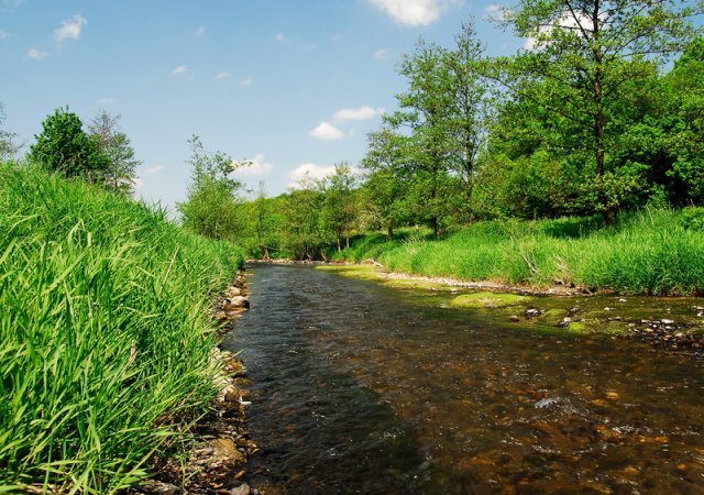 Wupper ©Volker Barthel