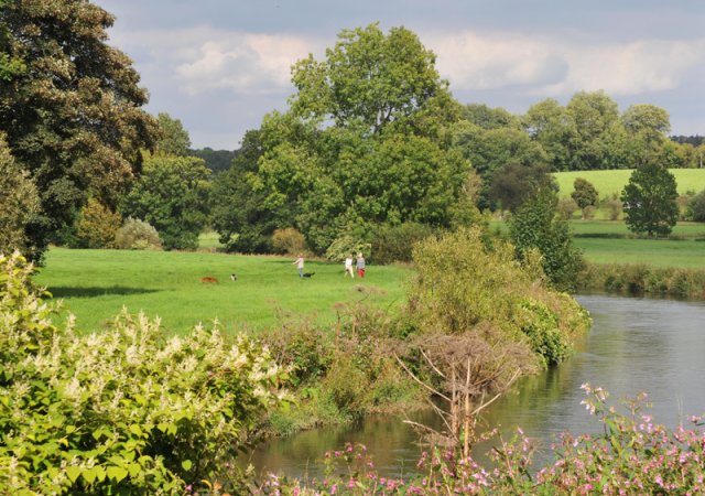 Wiese an der Sieg ©Ralf Schuhmann