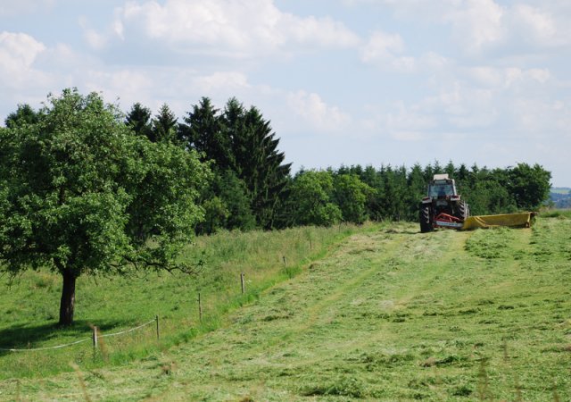 Landwirtschaft im Bergischen RheinLand ©REGIONALE 2010