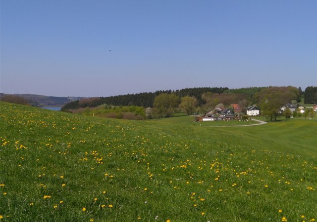 Siedlung im Rheinisch-Bergischen Kreis