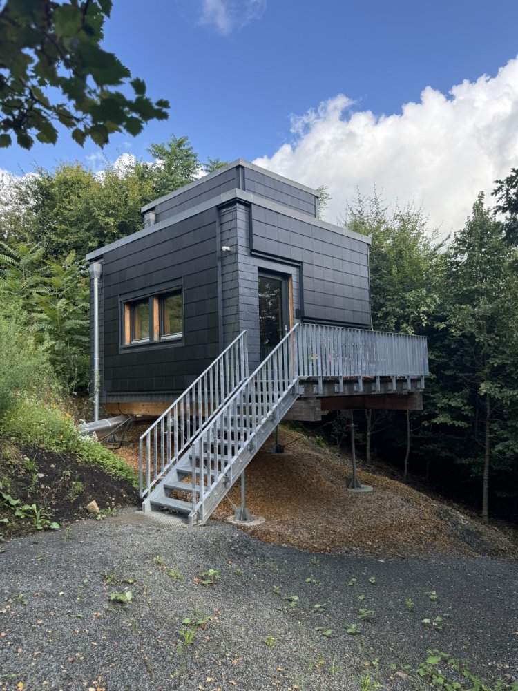 Demonstrator 2 metabolon