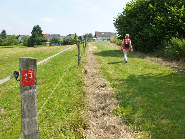 Gesundheitslandschaft südliches Bergisches RheinLand